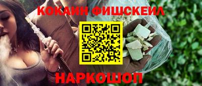 крисы Новокубанск