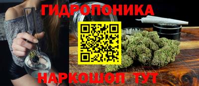 крисы Новокубанск