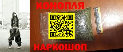 крисы Новокубанск