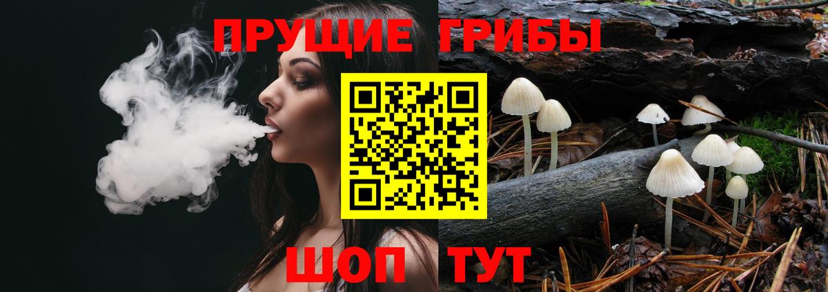 Галлюциногенные грибы Magic Shrooms Семилуки