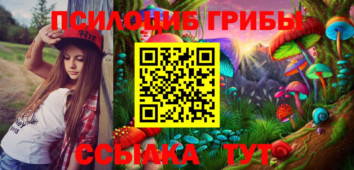 Семилуки  Псилоцибиновые грибы Cubensis  Вход с VPN 